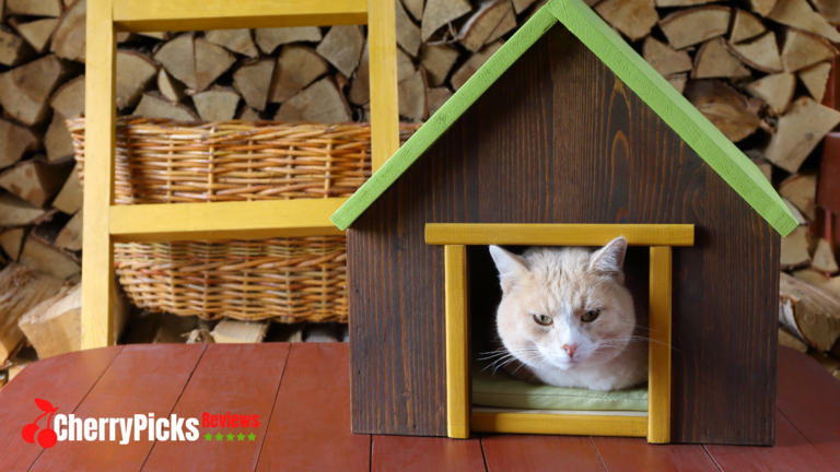 Outdoor Cat Houses