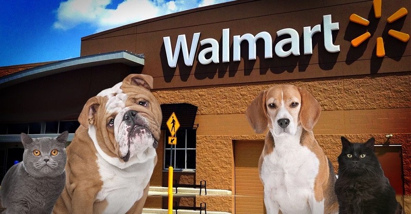 Walmart's Pet Policy
