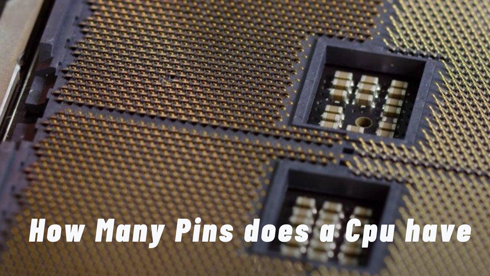 How Many Pins Does a CPU Have [LGA & PGA]