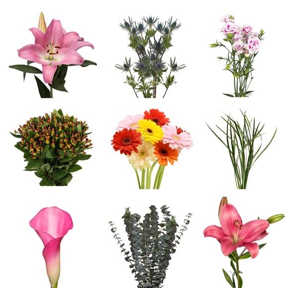 The Types Of Flowers Sold At Walmart