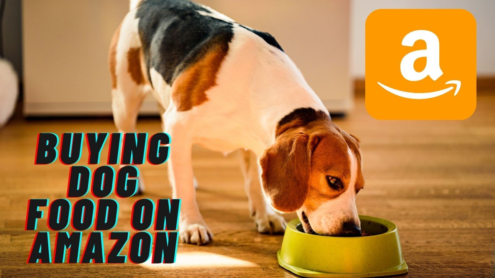 Is It Safe to Buy Dog Food on Amazon?