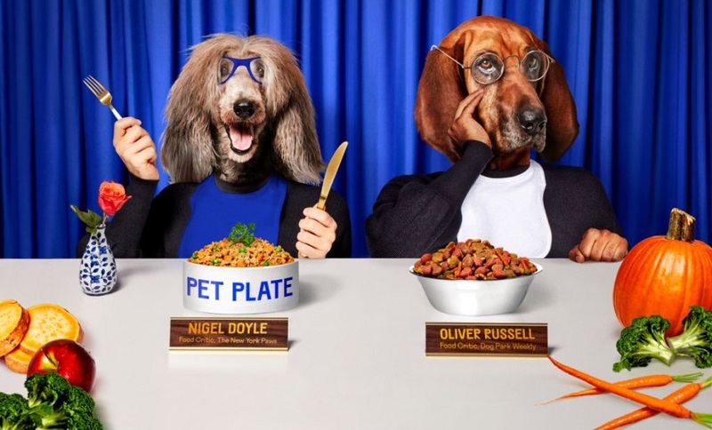 Buy Pet Plate Dog Food