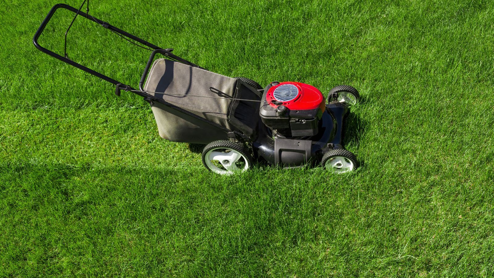 How Do You Start A Lawn Mower? (Steps and Tips)