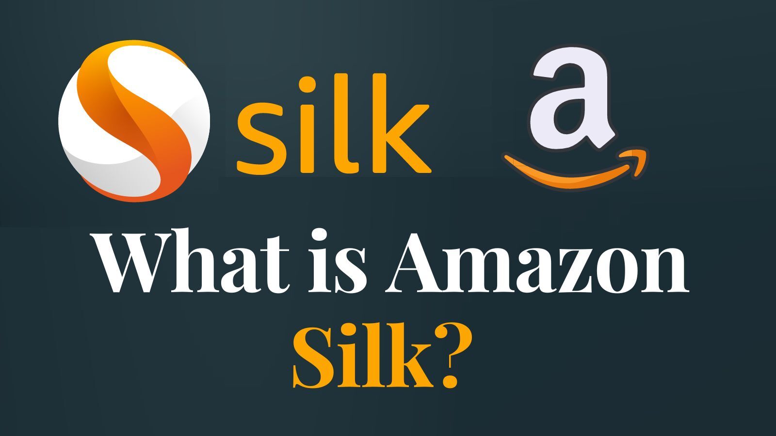  What Is Amazon Silk? (A Complete Guide)