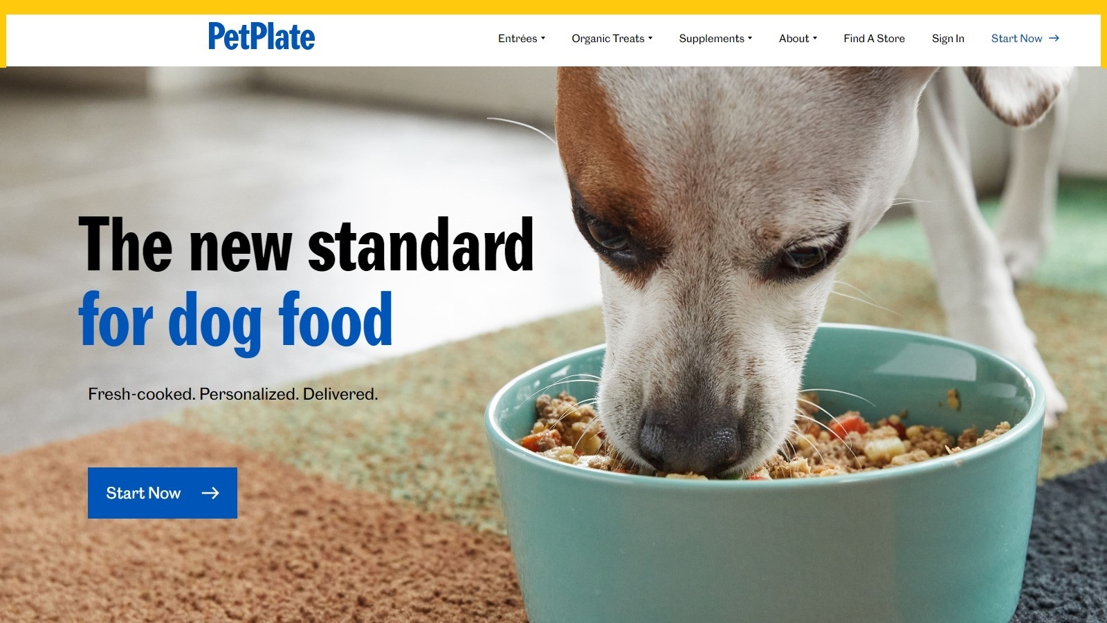 Pet Plate Dog Food Review: Why Does Your Furry Friend Like This Fresh Food?