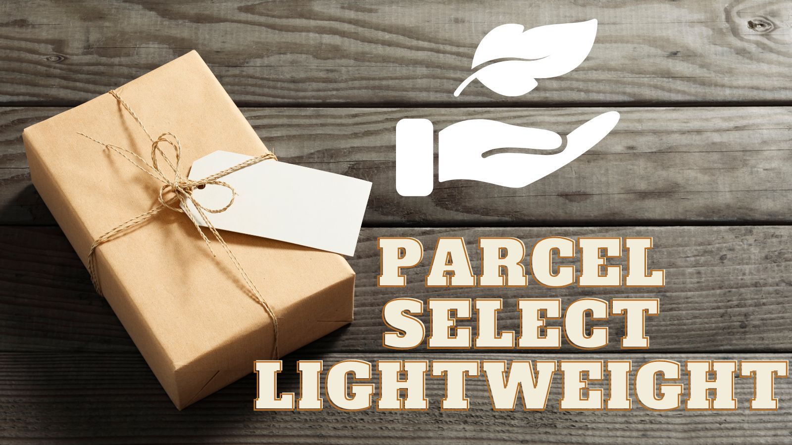 Parcel Select Lightweight (Has Been Eliminated!）