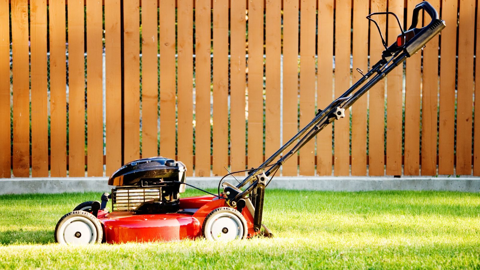 A Complete Buying Guide for Best Manual Push Mowers