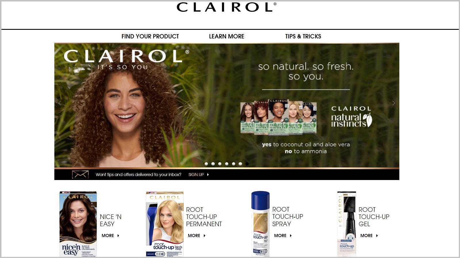 Clairol Natural Instincts Review: Is It Right for Your Hair?