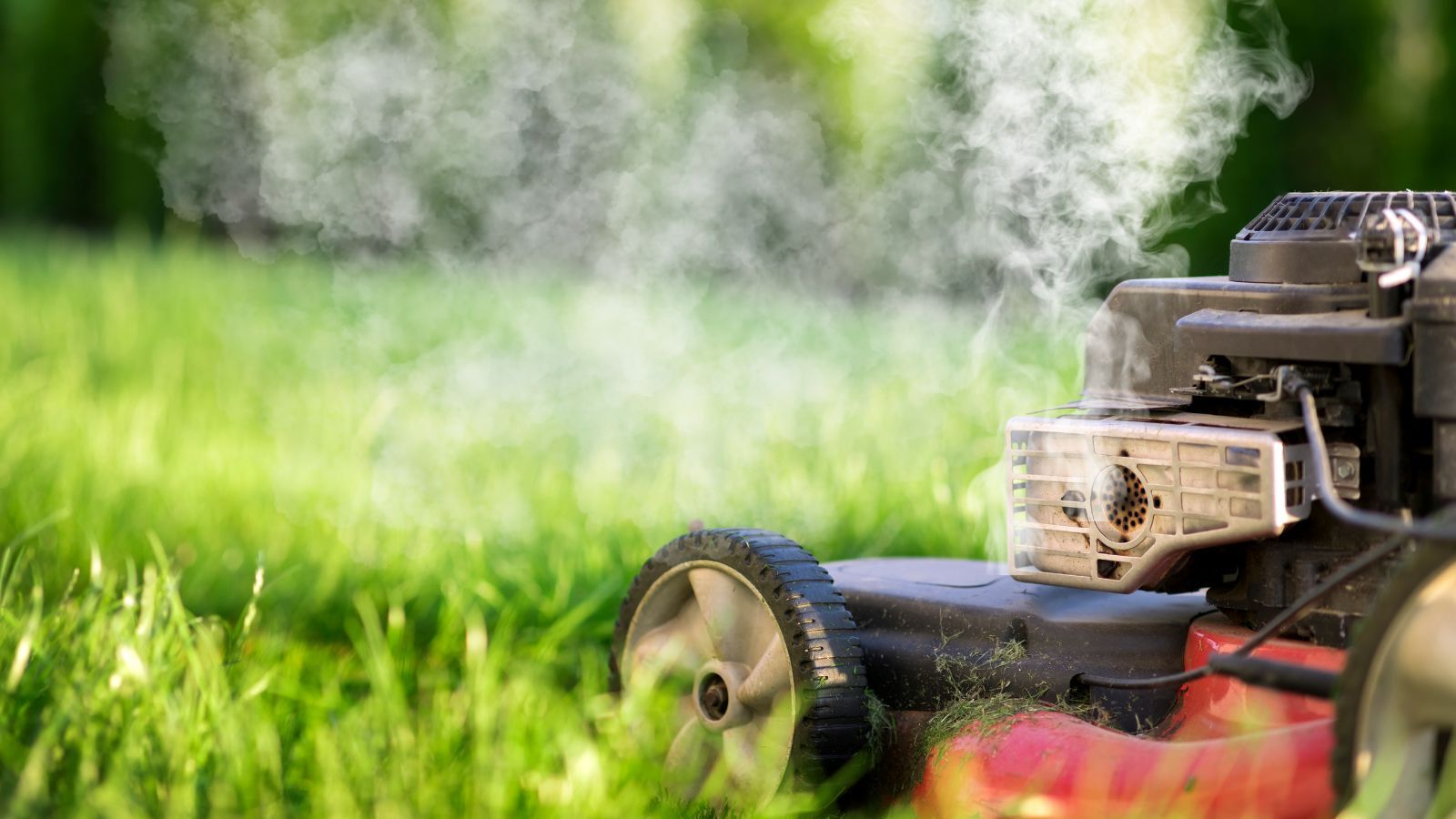 White Smoke from Lawn Mower (Why + How to Fix)