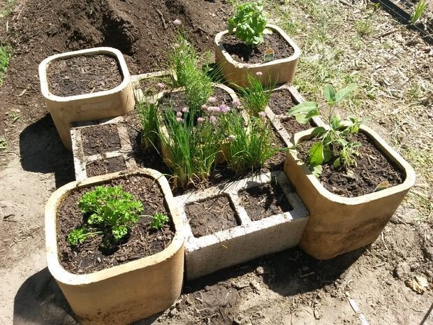 Recycle Mansonary Herb Garden