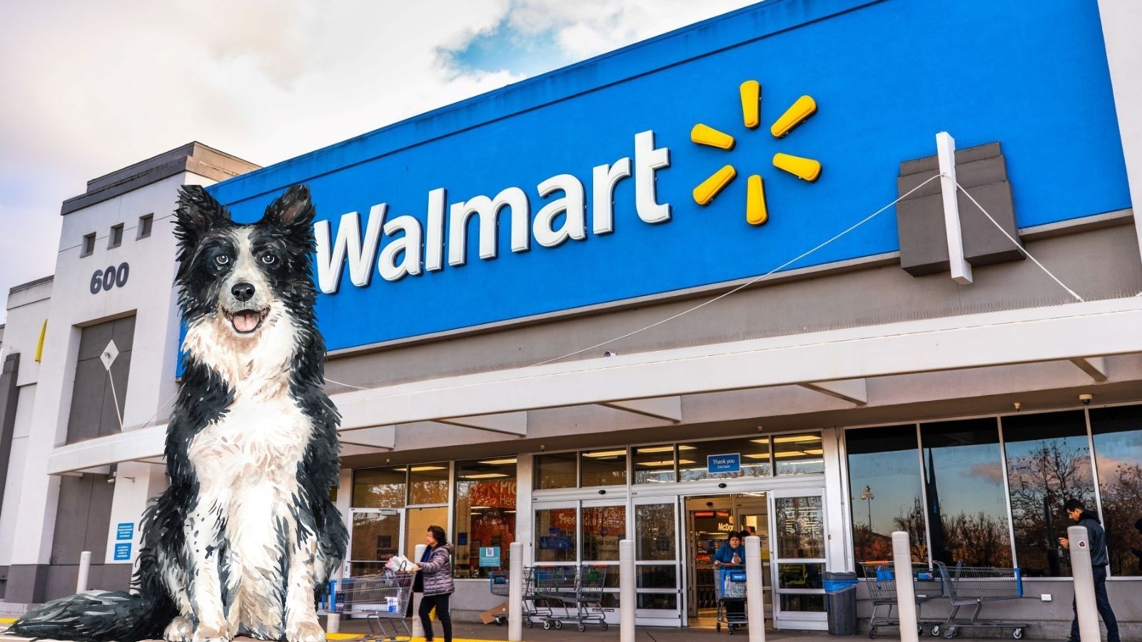 Are Dogs Allowed in Walmart? (Not All Are Allowed)