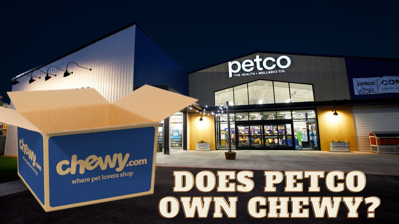 Does Petco Own Chewy? (Here's What You're Interested In)