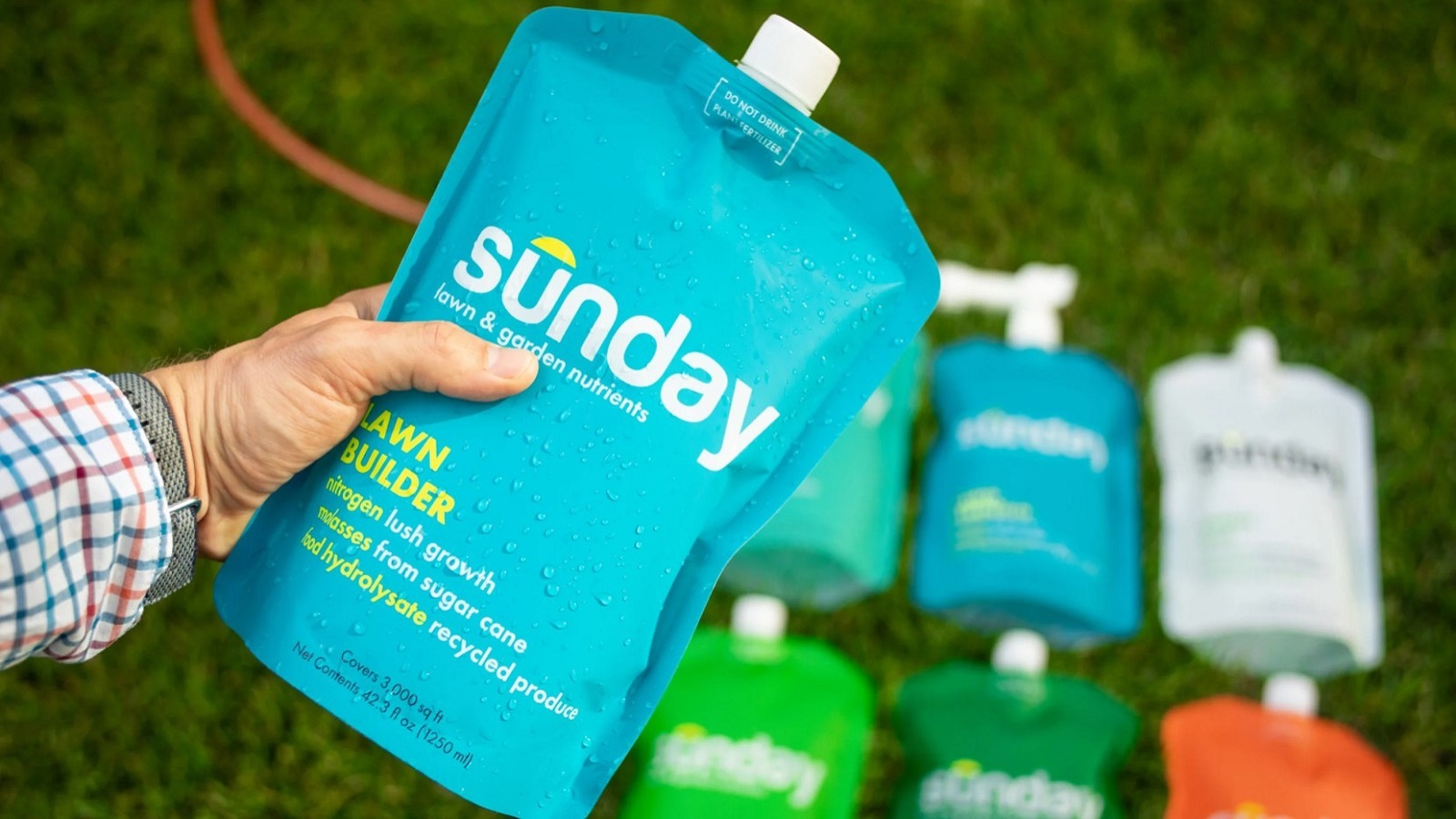 Sunday Lawn Care Review: Does It Really Work?