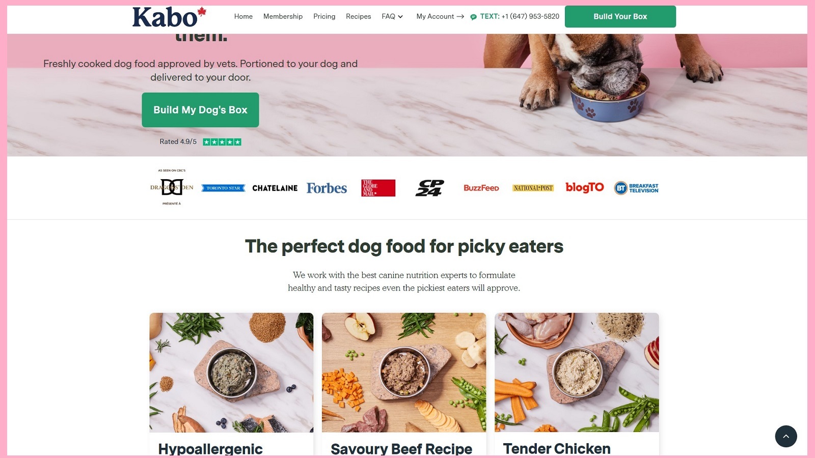 Kabo Dog Food Review: Help Your Dog in All Stages Of Life!