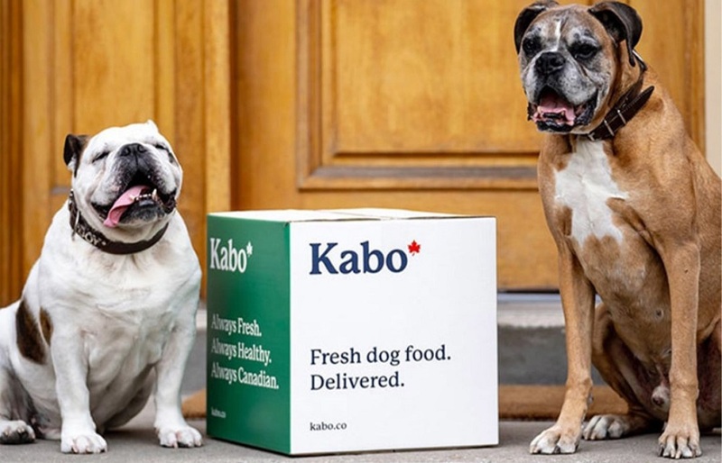 Use Kabo Dog Food