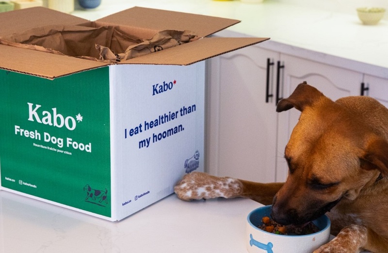 Buy Kabo Dog Food