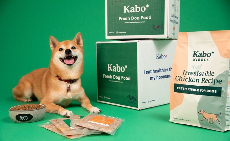 Kabo Dog Food Discount