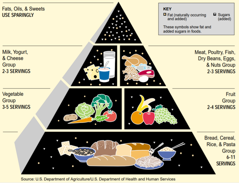 Food Guide Pyramid - A Guide to Daily Food Choices