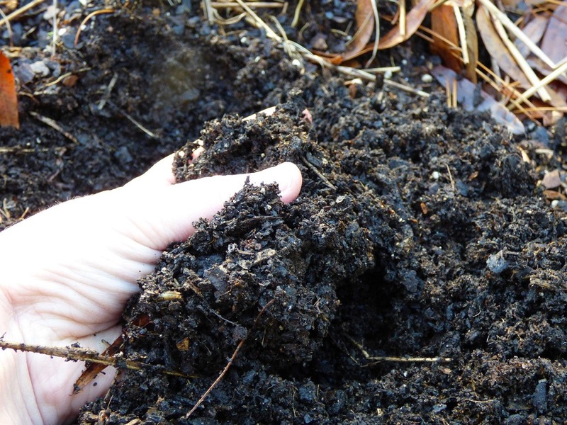 Good draining soil
