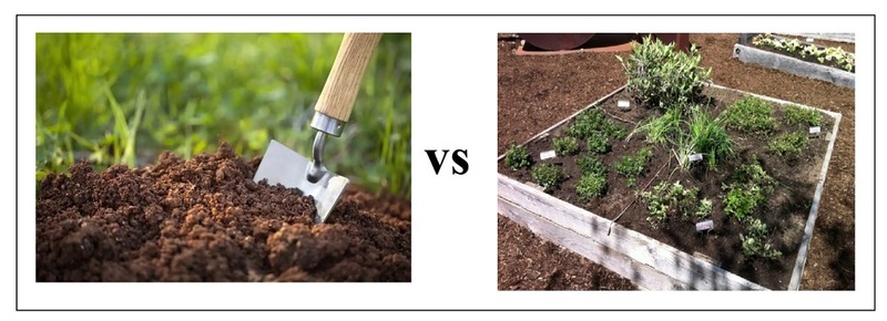 Difference between Garden Soil and Raised Bed Soil