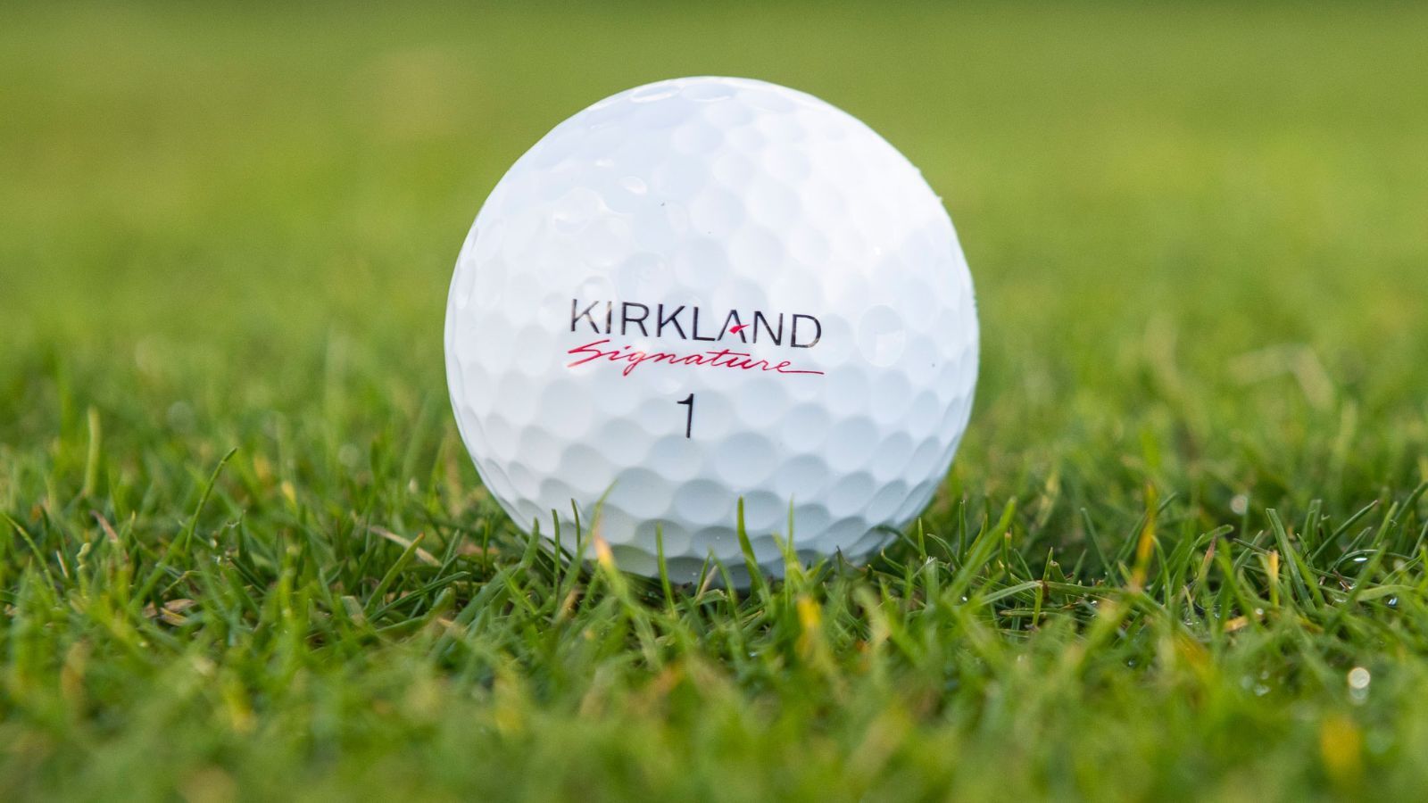 Who Makes Kirkland Golf Balls? (All You Need to Know)