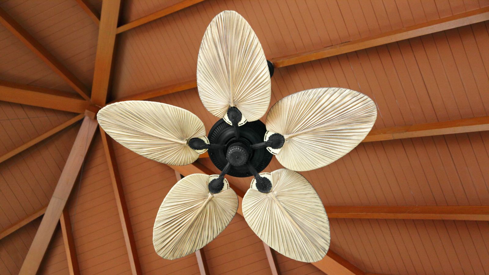 12 Best Ceiling Fan Brands to Keep You Cool This Summer