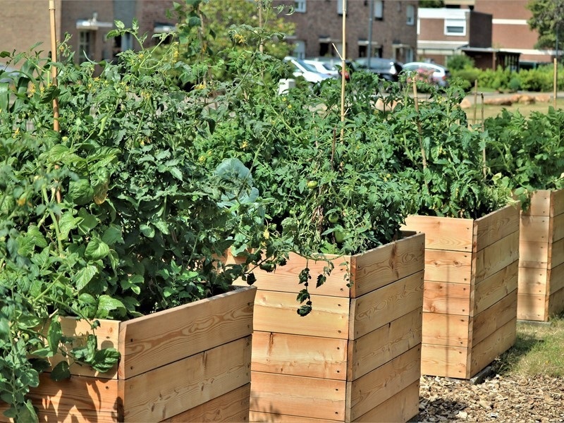 Benefits of High Raised Beds