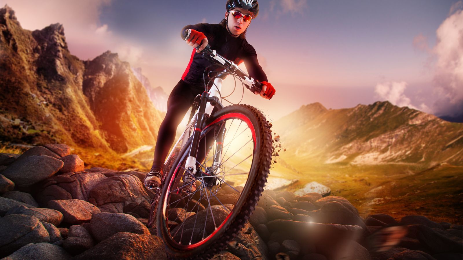 12 Best Mountain Bike Brands for Beginners: Beat All Terrains