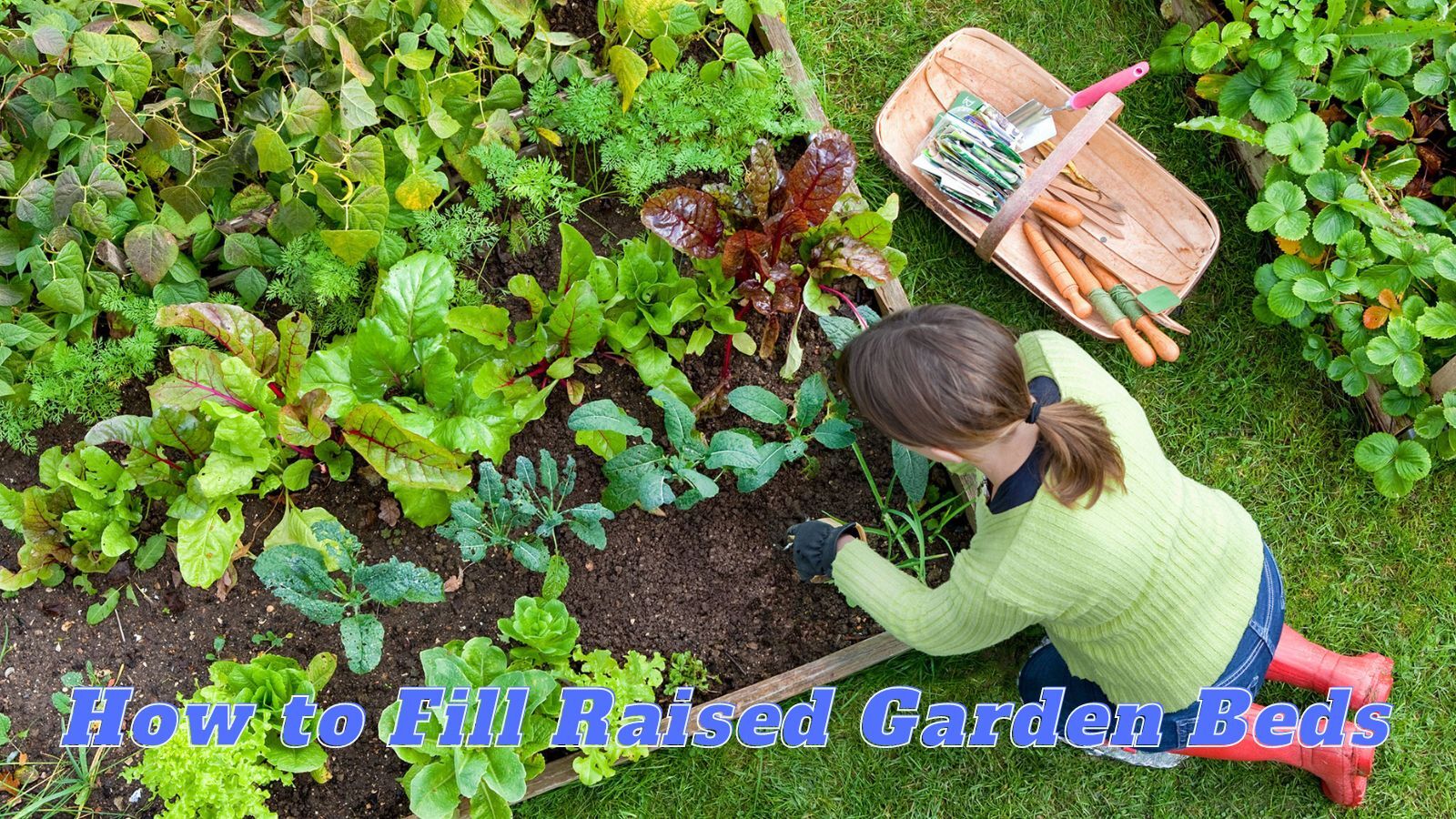 3 Quick & Easy Ways to Fill Raised Garden Beds [Filled]