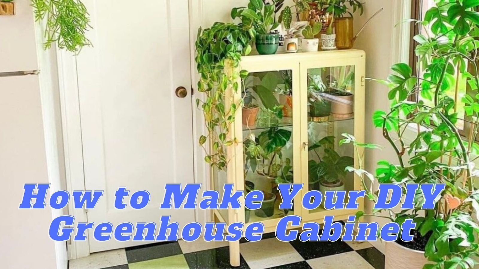How to Make Your Own DIY Greenhouse Cabinet (in EASY 8 Steps)