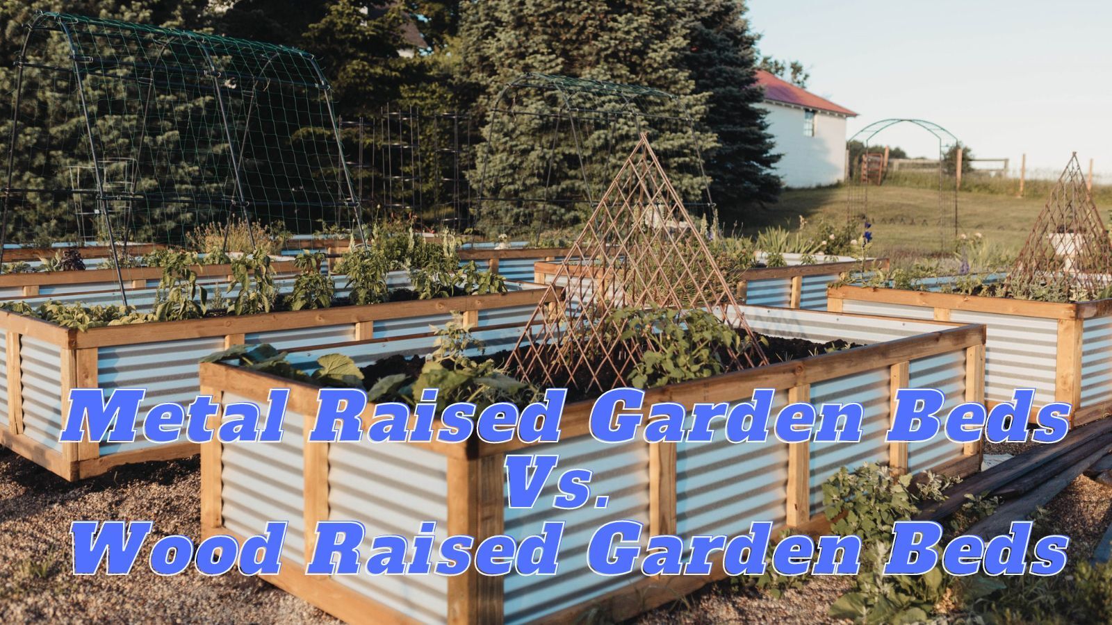 Metal Raised Garden Beds Vs. Wood Raised Garden Beds (pros & cons)