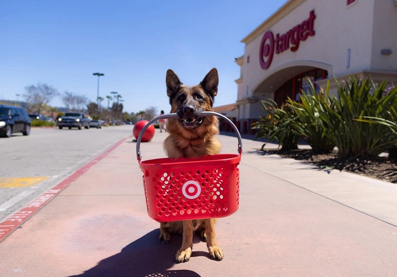 Dogs allowed in Target