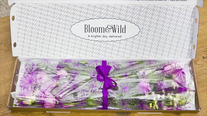 About Bloom & Wild