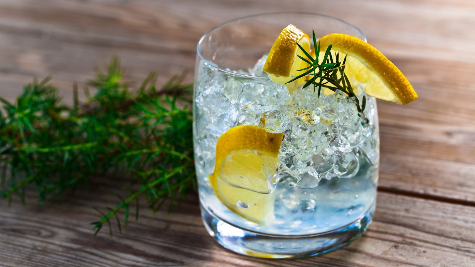12 Best Gin Brands to Drink in 2023