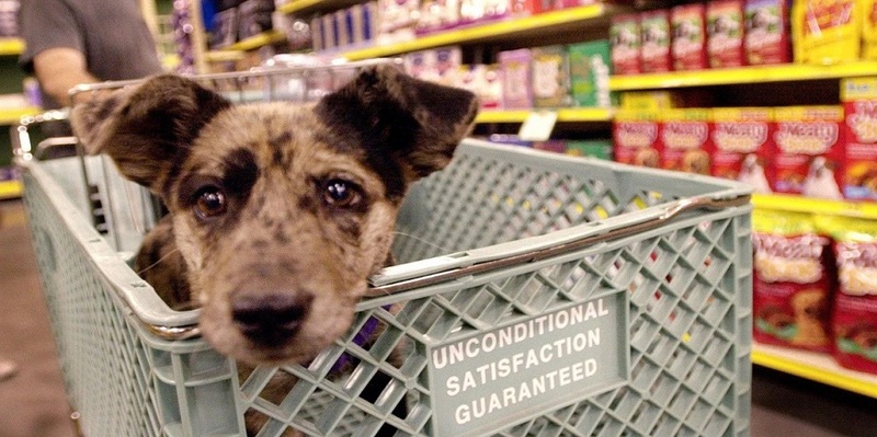 Other grocery stores allow pets