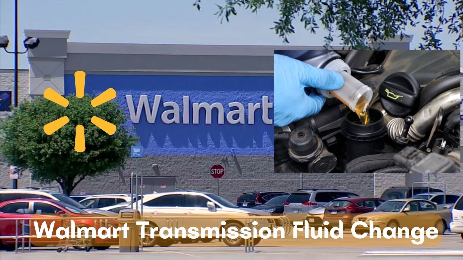 A Complete Guide of Walmart Transmission Fluid Change In 2022