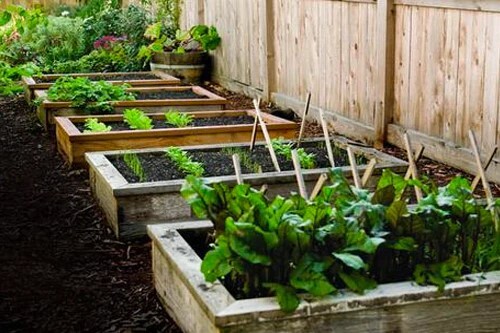 Benefits of Gardening in Raised Beds