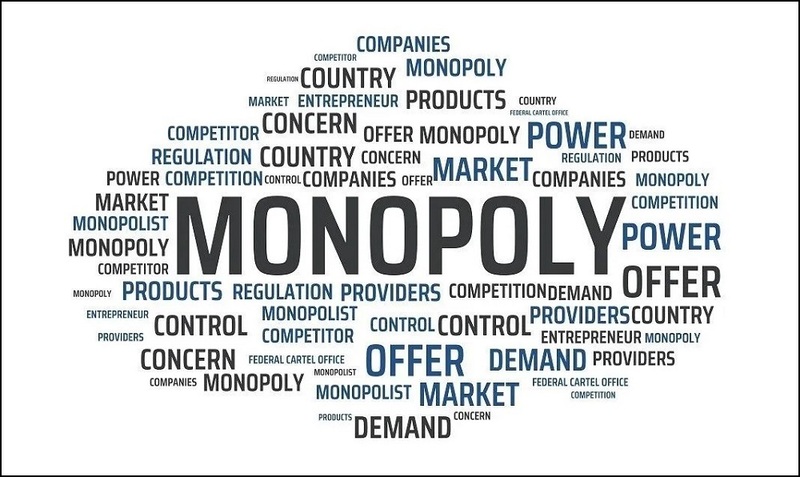 A Monopoly Market Structure