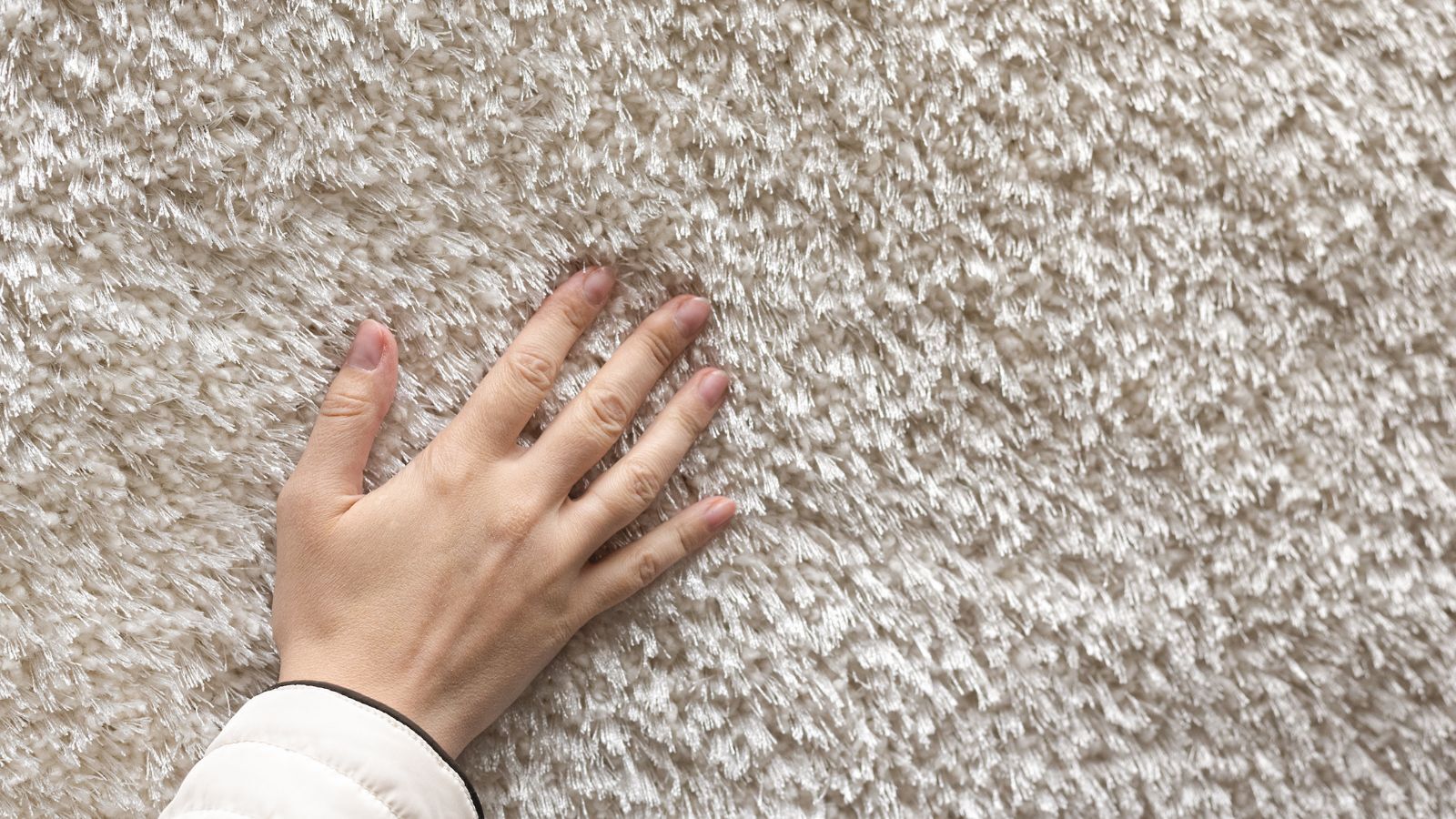 10 Best Carpet Brands to Transform Your Home Floors
