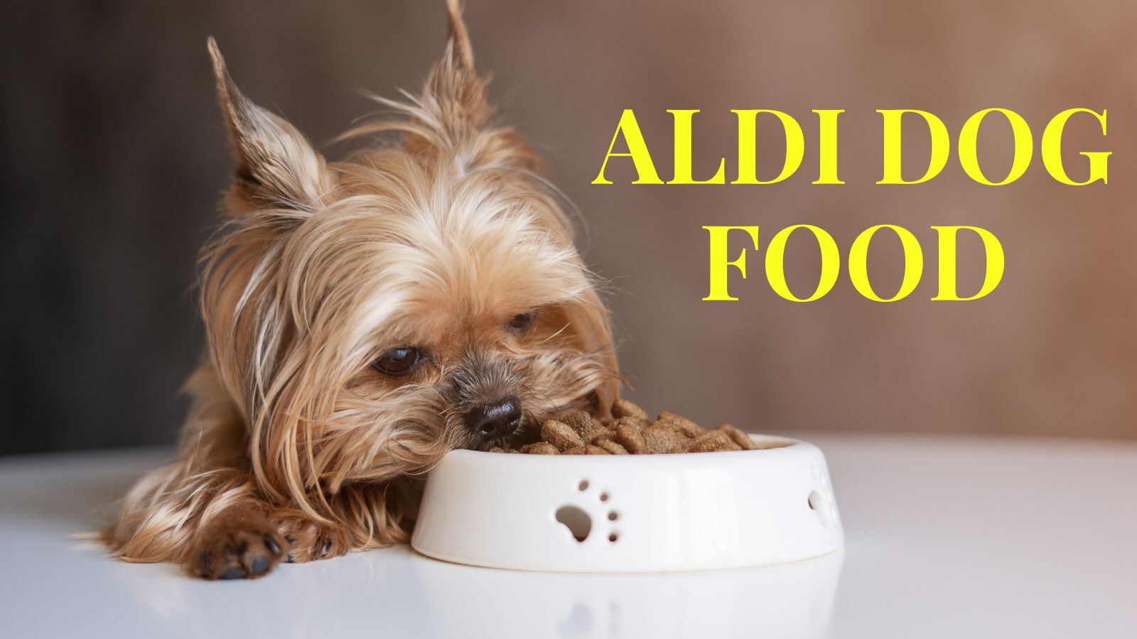 ALDI Dog Food (Types and Ingredients)