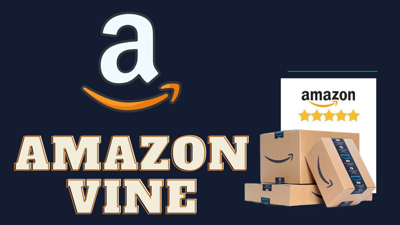 What Is Amazon Vine? (How It Works, Cost and Benefits)