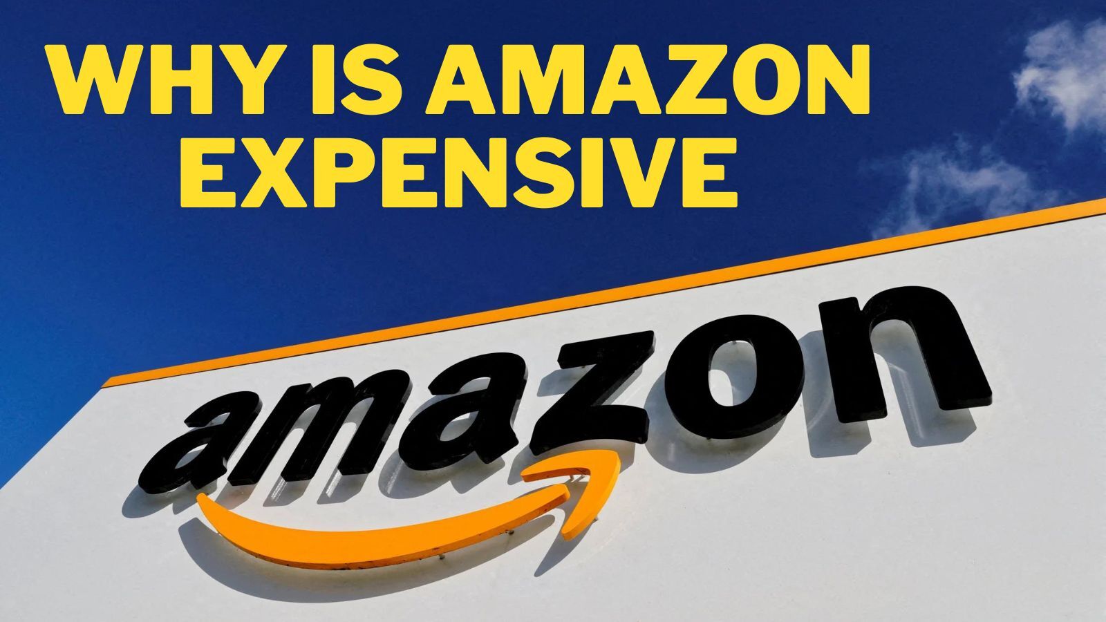 Why Is Amazon Expensive? (Something You Care Deeply About)