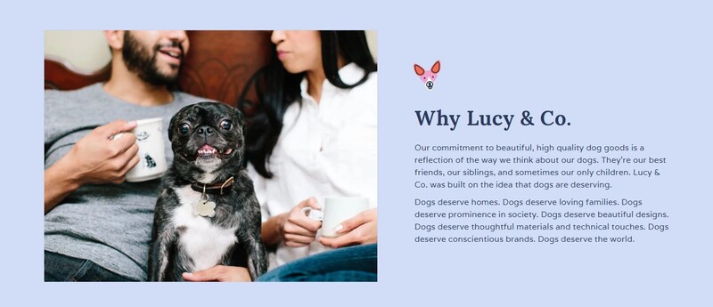 Why We Like Lucy and Co