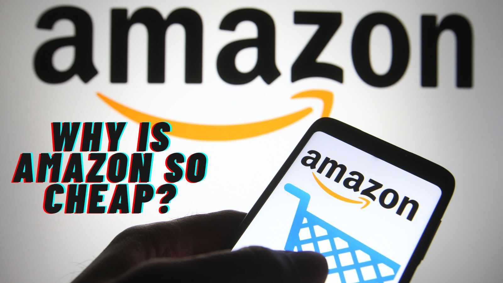 Why Is Amazon So Cheap? (Something You Might Be Interested In)