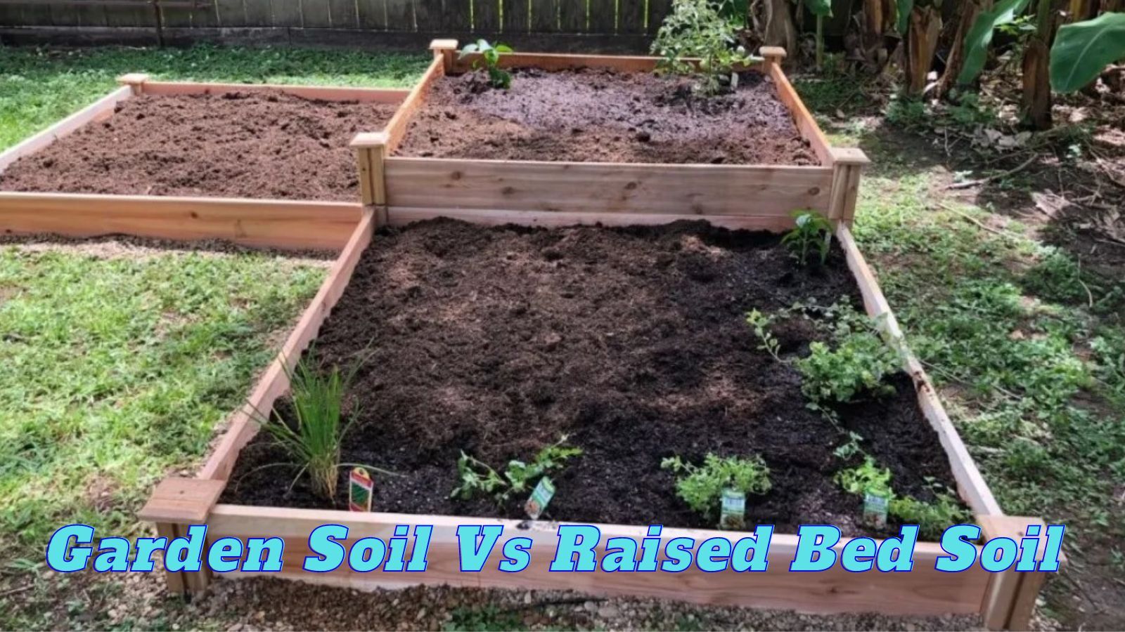 Garden Soil Vs Raised Bed Soil: What's the Difference?