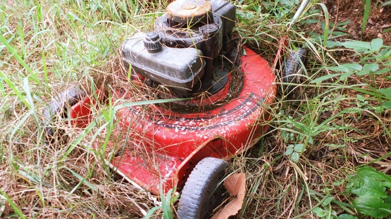 Old lawn mower