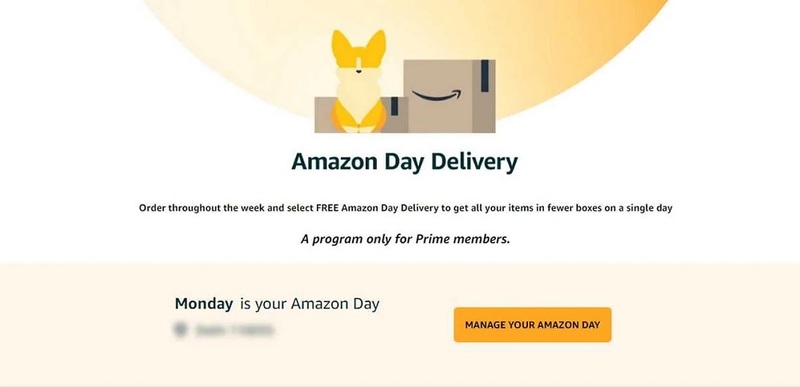A Review Of The Amazon Day Delivery Option