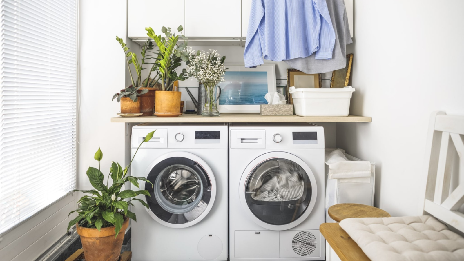 Eco-Friendly Laundry Services at Colleges: Truly Green?
