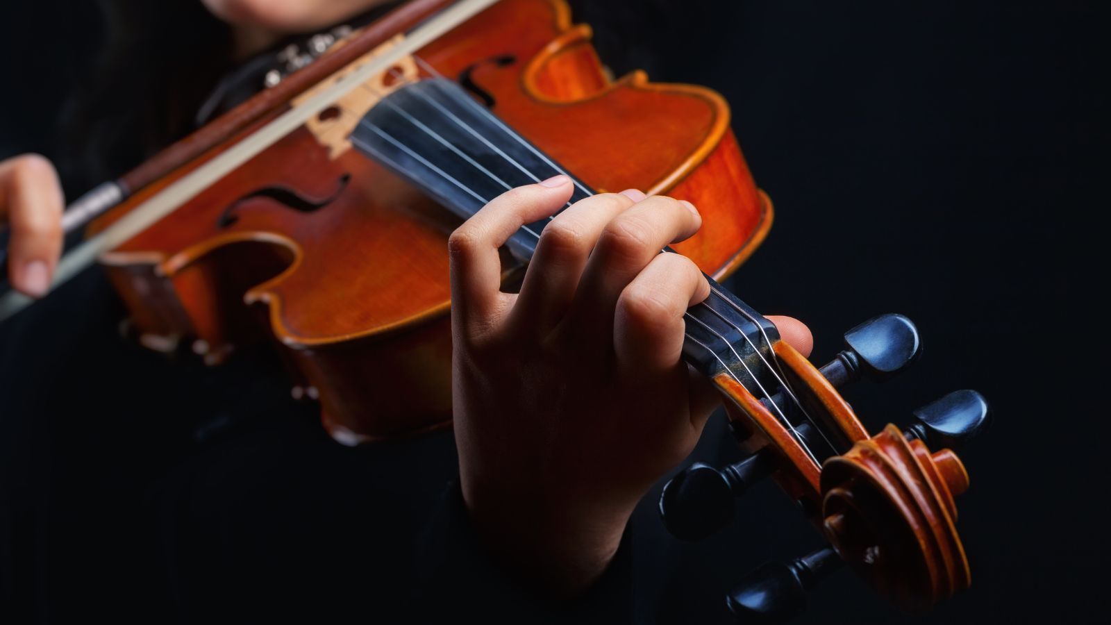 12 Best Violin Brands for Beginers and Professionals