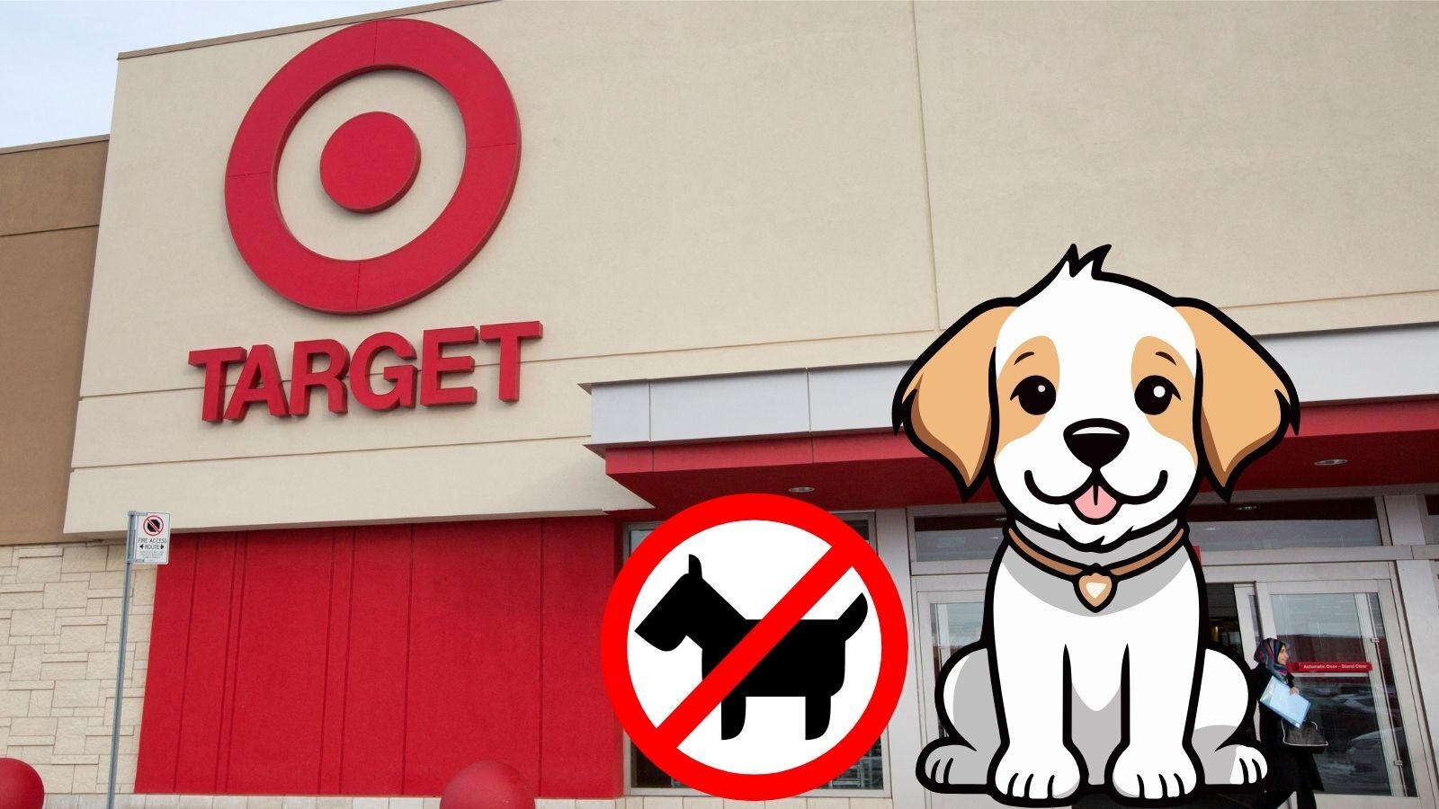 Is Target Dog Friendly? (Understand Target's Pet Policy)